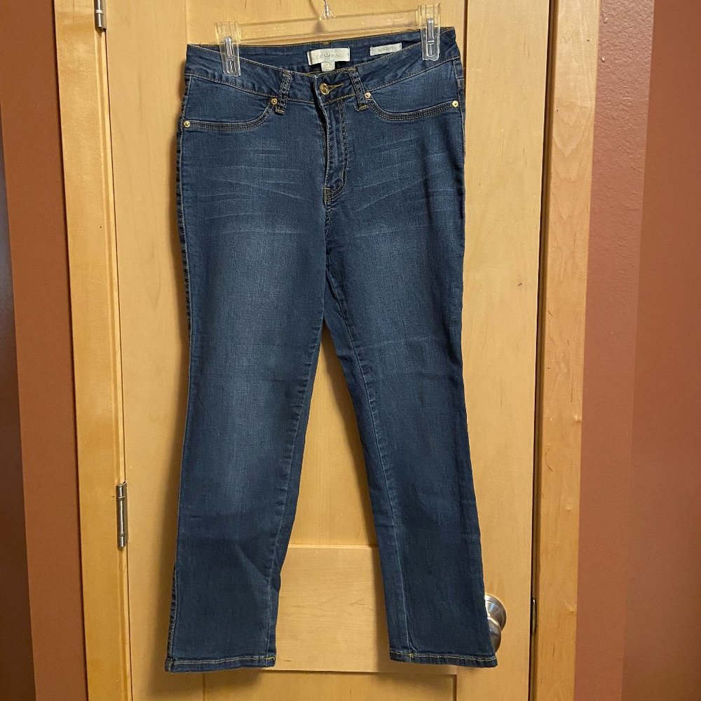 Nicki Minag Mid-Rise Women's Jeans: Size 9/10